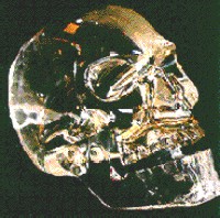 DC skull